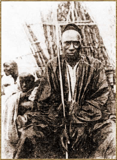 Alfa Yaya